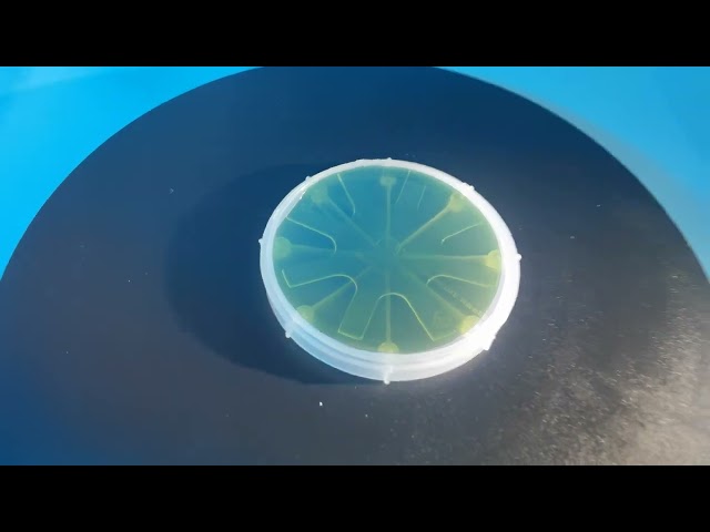 SiC wafer